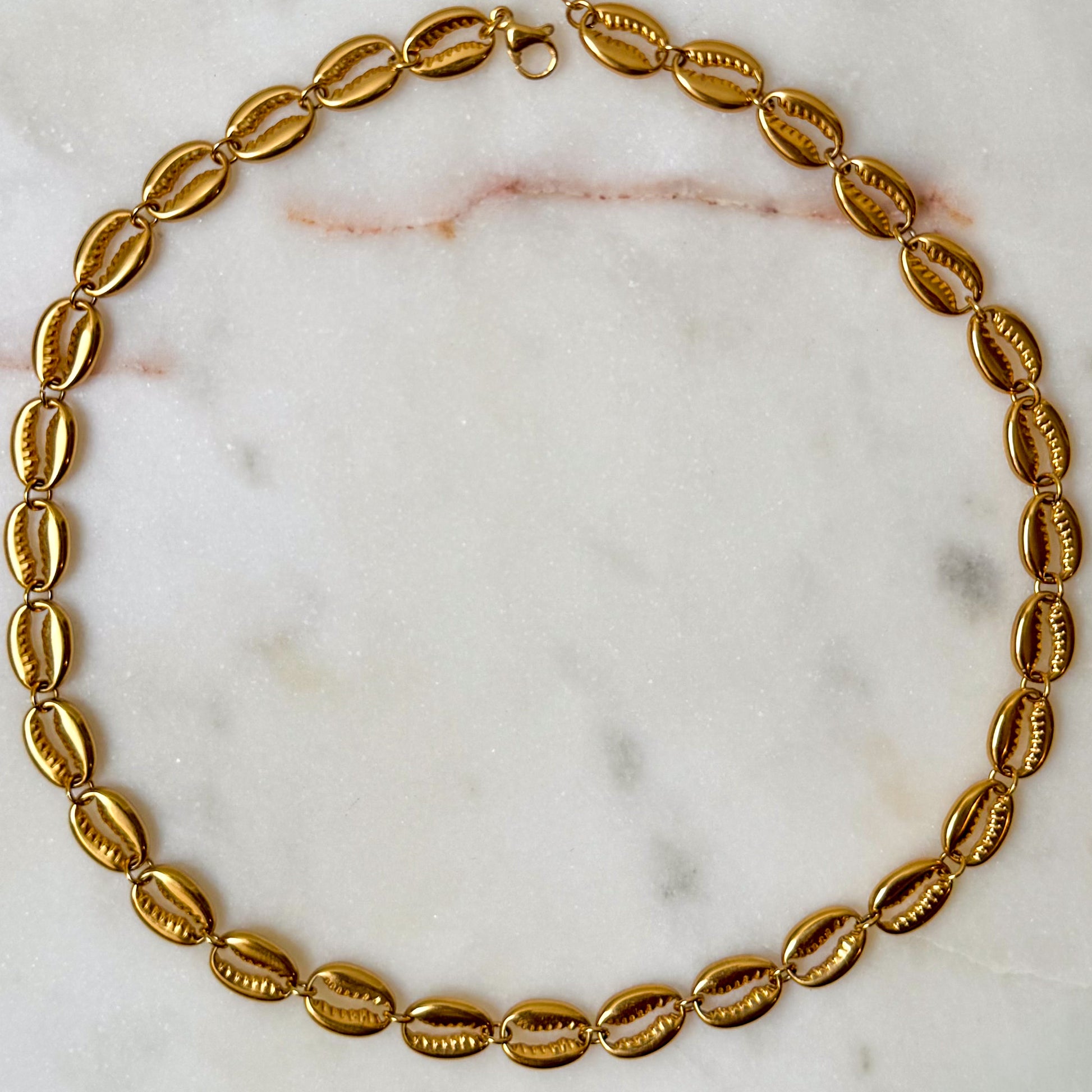 Necklace Cowrie Shell